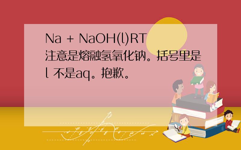 Na + NaOH(l)RT注意是熔融氢氧化钠。括号里是l 不是aq。抱歉。