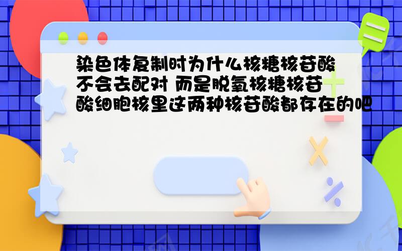 染色体复制时为什么核糖核苷酸不会去配对 而是脱氧核糖核苷酸细胞核里这两种核苷酸都存在的吧