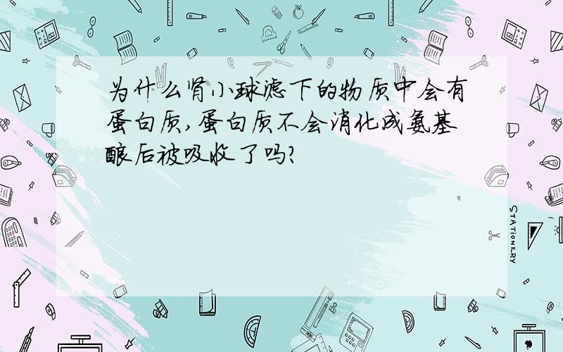 为什么肾小球滤下的物质中会有蛋白质,蛋白质不会消化成氨基酸后被吸收了吗?