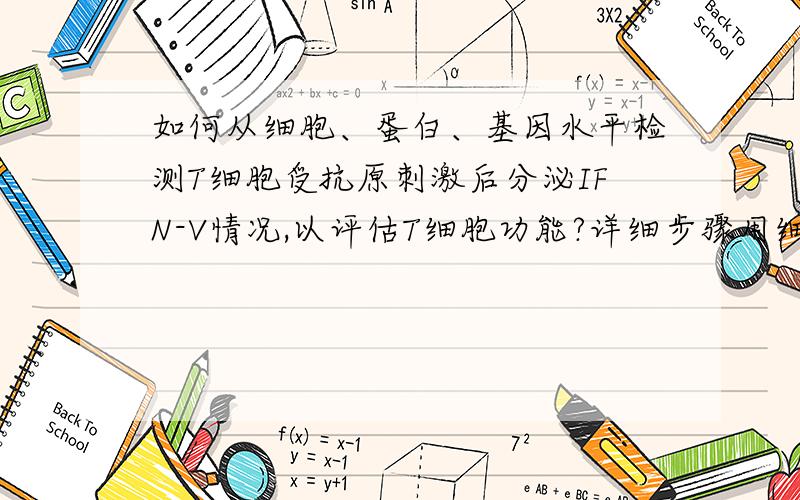 如何从细胞、蛋白、基因水平检测T细胞受抗原刺激后分泌IFN-V情况,以评估T细胞功能?详细步骤用细胞内细胞因子染色,酶联免疫斑点法,western-blot、elisa、rt-pcr、northern-blot