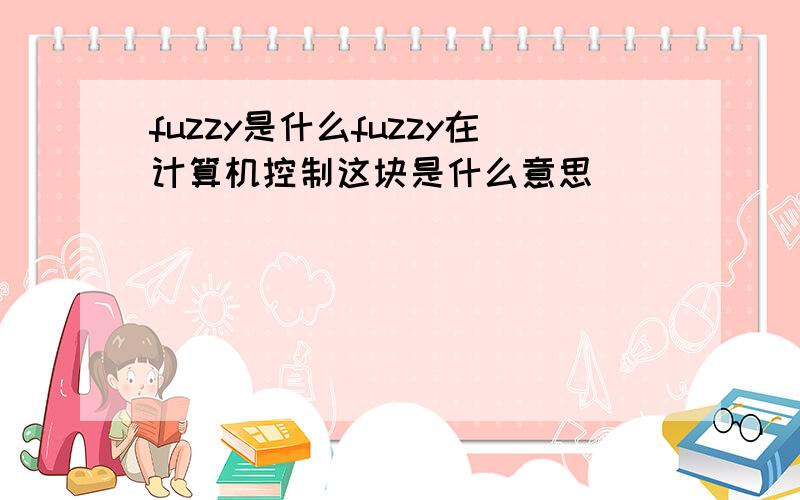 fuzzy是什么fuzzy在计算机控制这块是什么意思