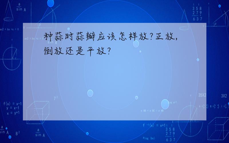 种蒜时蒜瓣应该怎样放?正放,倒放还是平放?