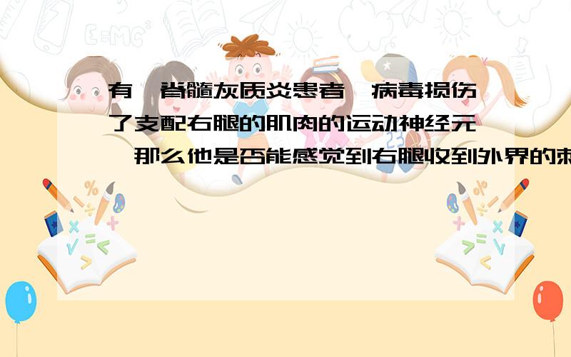 有一脊髓灰质炎患者,病毒损伤了支配右腿的肌肉的运动神经元,那么他是否能感觉到右腿收到外界的刺激呢?为什么?