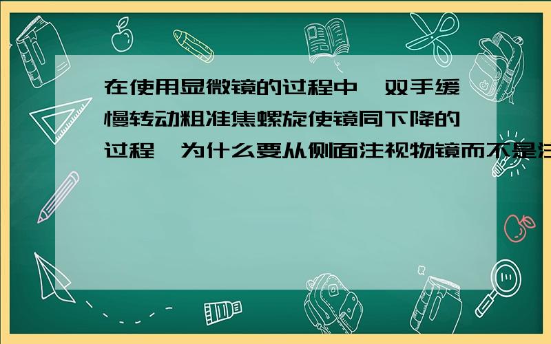 在使用显微镜的过程中,双手缓慢转动粗准焦螺旋使镜同下降的过程,为什么要从侧面注视物镜而不是注视目镜?