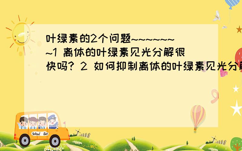 叶绿素的2个问题~~~~~~~1 离体的叶绿素见光分解很快吗? 2 如何抑制离体的叶绿素见光分解?（如,加一些什么添加剂）