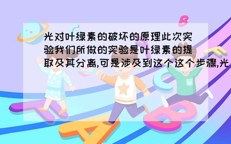 光对叶绿素的破坏的原理此次实验我们所做的实验是叶绿素的提取及其分离,可是涉及到这个这个步骤,光对叶绿素的破坏作用在 2支具塞试管中各放入2ml上述色素提取液,盖好塞子.一支试管置