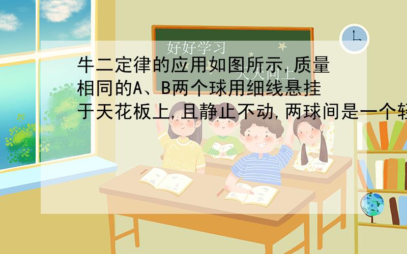 牛二定律的应用如图所示,质量相同的A、B两个球用细线悬挂于天花板上,且静止不动,两球间是一个轻质弹簧,如果突然剪断悬线,则在剪断悬线瞬间A球加速度为?B球的加速度为?图片