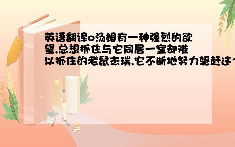 英语翻译o汤姆有一种强烈的欲望,总想抓住与它同居一室却难以抓住的老鼠杰瑞,它不断地努力驱赶这个讨厌的房客,但总是遭到失败.而实际上它在追逐中得到的乐趣远远超过了捉住老鼠,即使