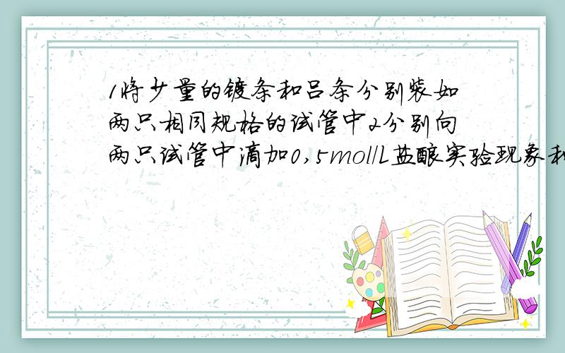 1将少量的镁条和吕条分别装如两只相同规格的试管中2分别向两只试管中滴加0,5mol/L盐酸实验现象和结论?