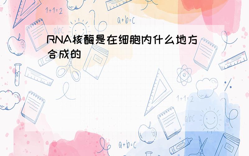 RNA核酶是在细胞内什么地方合成的