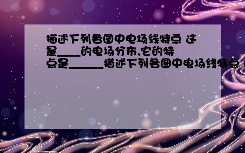 描述下列各图中电场线特点 这是____的电场分布,它的特点是______描述下列各图中电场线特点 这是____的电场分布,它的特点是______