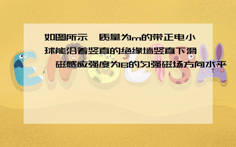 如图所示,质量为m的带正电小球能沿着竖直的绝缘墙竖直下滑,磁感应强度为B的匀强磁场方向水平,并与小球运动方向垂直,若小球电荷量为Q,球与墙之间的动摩擦因素为μ,则系哦啊求下滑的最