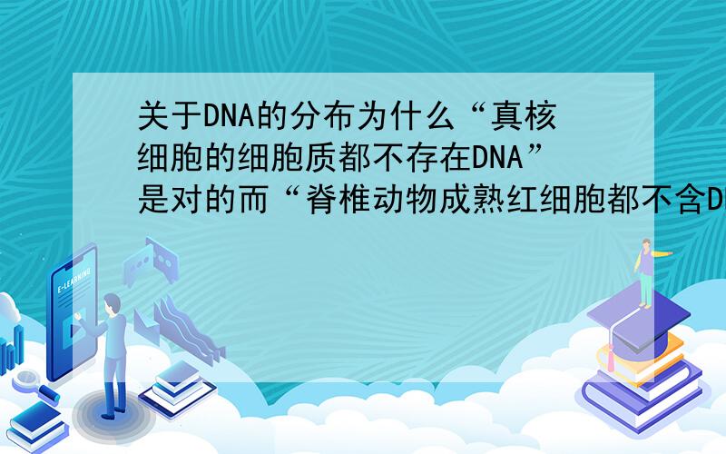 关于DNA的分布为什么“真核细胞的细胞质都不存在DNA”是对的而“脊椎动物成熟红细胞都不含DNA”是错的