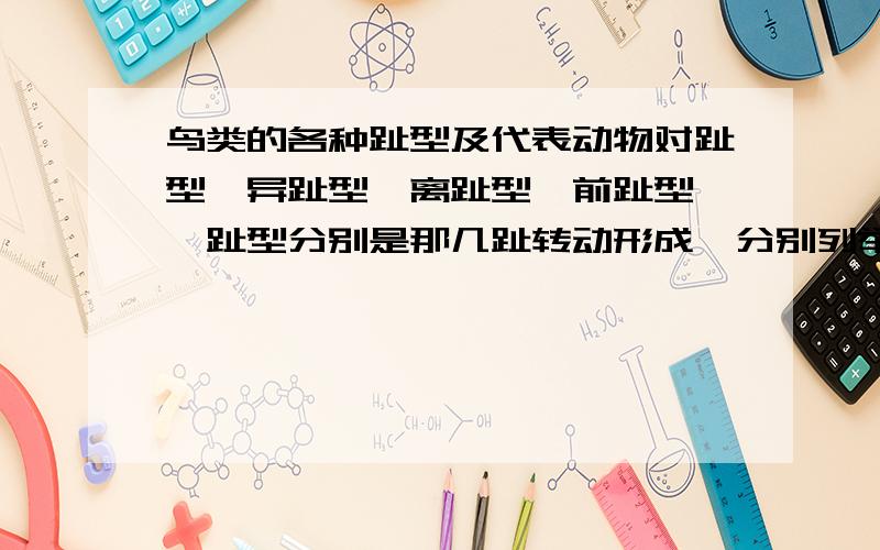 鸟类的各种趾型及代表动物对趾型,异趾型,离趾型,前趾型,骈趾型分别是那几趾转动形成,分别列举些常见的,听过的鸟就好了