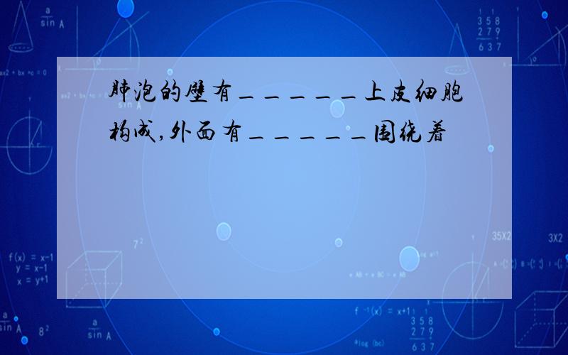 肺泡的壁有_____上皮细胞构成,外面有_____围绕着