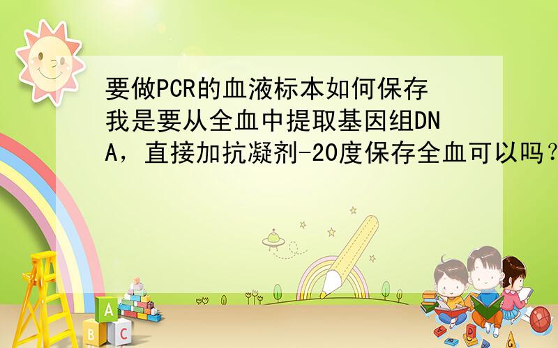 要做PCR的血液标本如何保存我是要从全血中提取基因组DNA，直接加抗凝剂-20度保存全血可以吗？必需用梯度分离液把细胞分离出来保存细胞吗