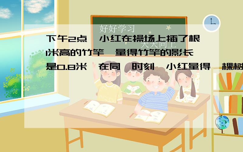 下午2点,小红在操场上插了根1米高的竹竿,量得竹竿的影长是0.8米,在同一时刻,小红量得一棵树的影长为5.6m下午2点,小红在操场上插了根1米高的竹竿,量得竹竿的影长是0.8米,在同一时刻,小红量