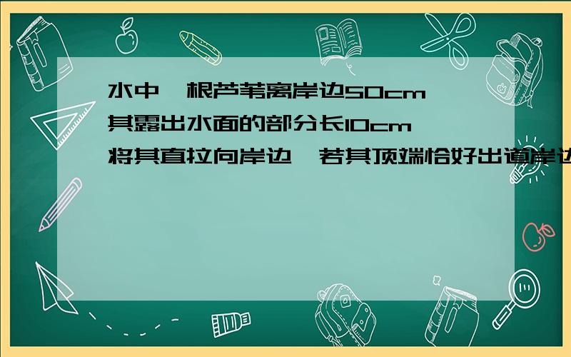 水中一根芦苇离岸边50cm,其露出水面的部分长10cm,将其直拉向岸边,若其顶端恰好出道岸边的书面上则这根芦苇高多少cm