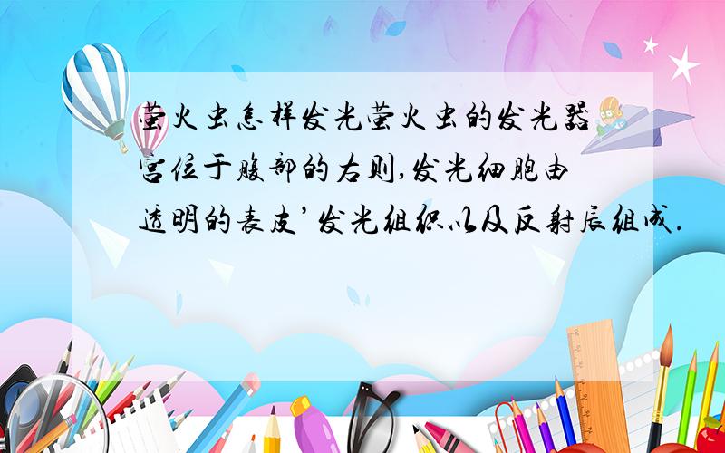 萤火虫怎样发光萤火虫的发光器宫位于腹部的右则,发光细胞由透明的表皮’发光组织以及反射辰组成.