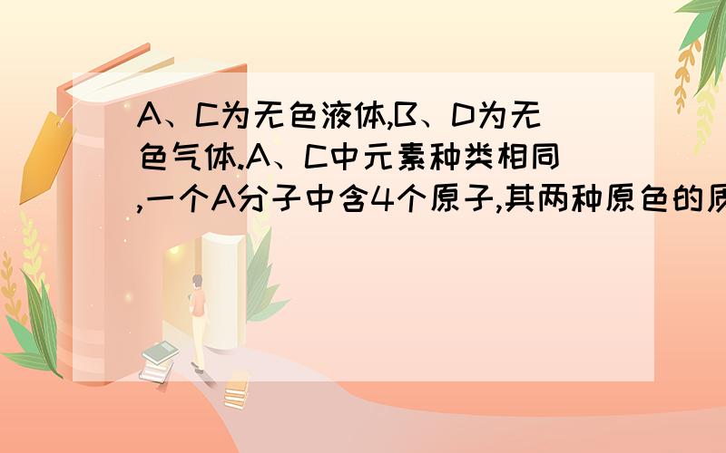 A、C为无色液体,B、D为无色气体.A、C中元素种类相同,一个A分子中含4个原子,其两种原色的质量比为1:16.他们之间能发生如下变化,其中B是人类生存的最主要的气体.请你根据所学的化学知识作