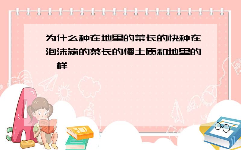 为什么种在地里的菜长的快种在泡沫箱的菜长的慢土质和地里的一样