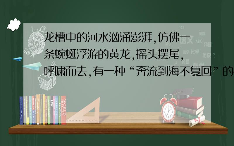 龙槽中的河水汹涌澎湃,仿佛一条蜿蜒浮游的黄龙,摇头摆尾,呼啸而去,有一种“奔流到海不复回”的恢弘气概.