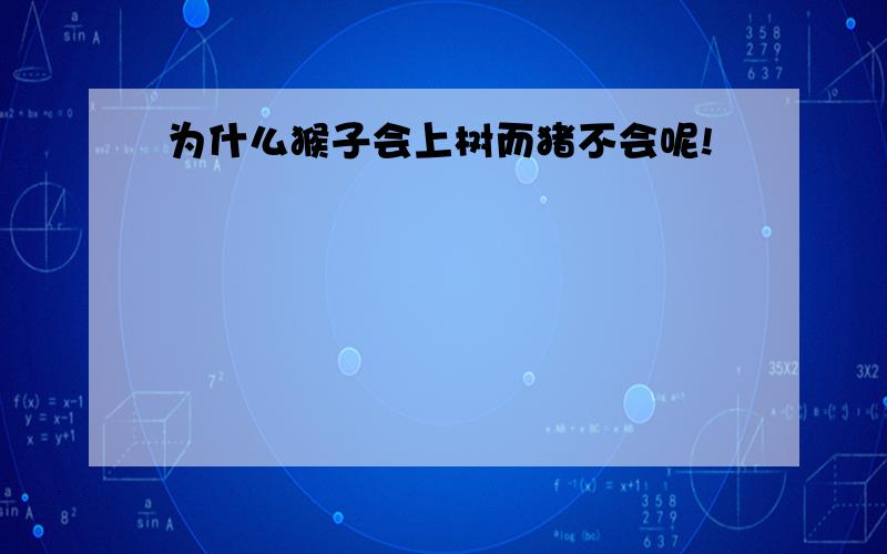 为什么猴子会上树而猪不会呢!