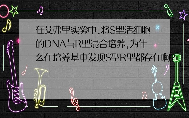 在艾弗里实验中,将S型活细胞的DNA与R型混合培养,为什么在培养基中发现S型R型都存在啊?