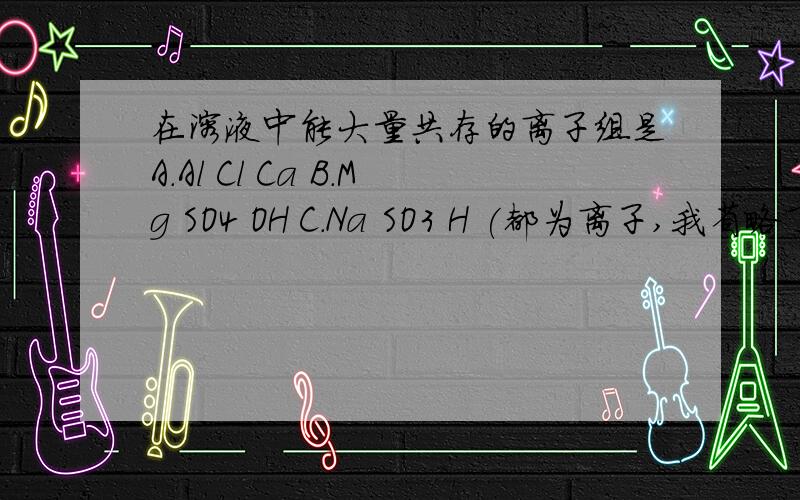 在溶液中能大量共存的离子组是A.Al Cl Ca B.Mg SO4 OH C.Na SO3 H (都为离子,我省略了）