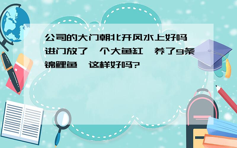 公司的大门朝北开风水上好吗一进门放了一个大鱼缸,养了9条锦鲤鱼,这样好吗?