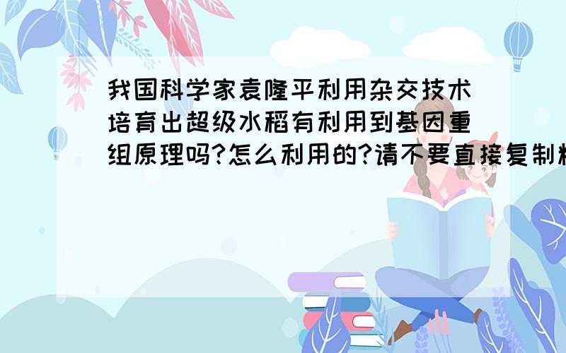 我国科学家袁隆平利用杂交技术培育出超级水稻有利用到基因重组原理吗?怎么利用的?请不要直接复制粘贴 请把重点标出