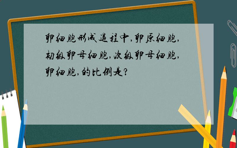 卵细胞形成过程中,卵原细胞,初级卵母细胞,次级卵母细胞,卵细胞,的比例是?