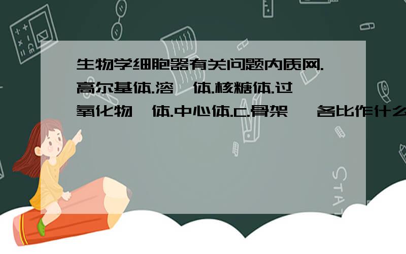 生物学细胞器有关问题内质网.高尔基体.溶酶体.核糖体.过氧化物酶体.中心体.C.骨架   各比作什么.