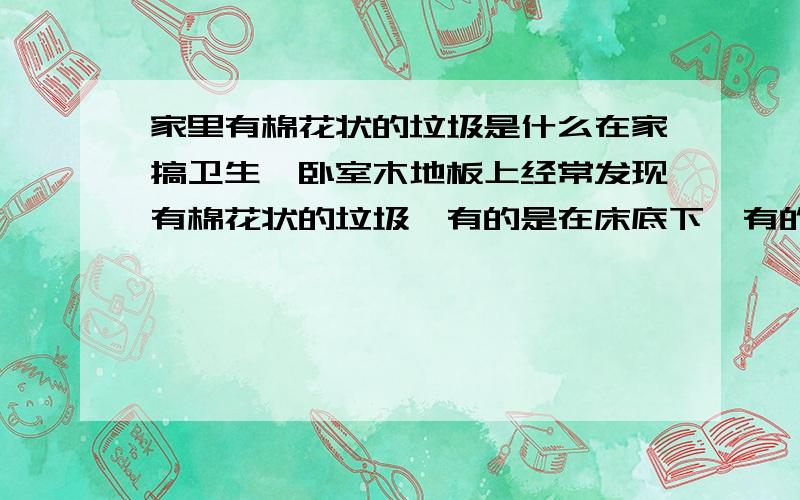 家里有棉花状的垃圾是什么在家搞卫生,卧室木地板上经常发现有棉花状的垃圾,有的是在床底下,有的在角落里,拖完过几天又会有,时间长一点不拖,棉花状的东西会越积越大,风一吹飘得到处都