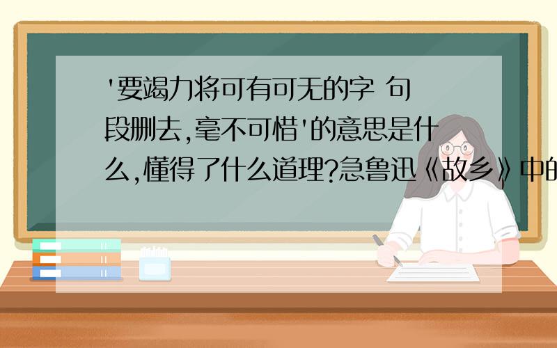 '要竭力将可有可无的字 句 段删去,毫不可惜'的意思是什么,懂得了什么道理?急鲁迅《故乡》中的段落