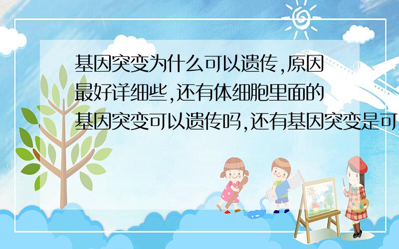 基因突变为什么可以遗传,原因最好详细些,还有体细胞里面的基因突变可以遗传吗,还有基因突变是可以遗传的,这句话对吗