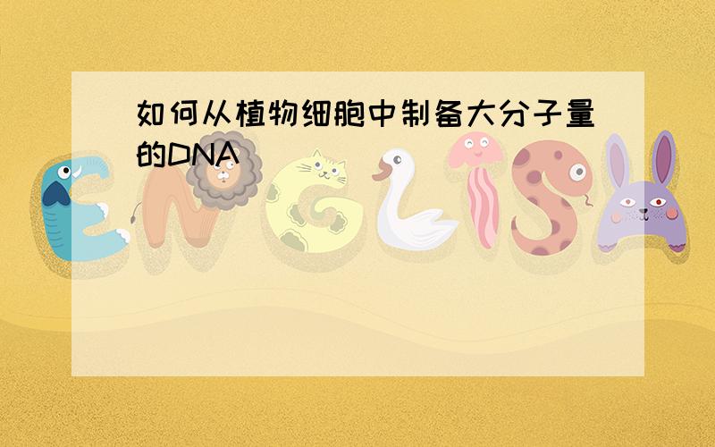 如何从植物细胞中制备大分子量的DNA