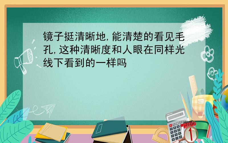 镜子挺清晰地,能清楚的看见毛孔,这种清晰度和人眼在同样光线下看到的一样吗