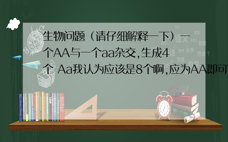 生物问题（请仔细解释一下）一个AA与一个aa杂交,生成4个 Aa我认为应该是8个啊,应为AA即可做父本又可作母本,这不来回两次么!（本人刚学这,所以请给仔细解释一下哈!