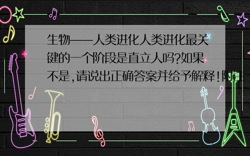 生物——人类进化人类进化最关键的一个阶段是直立人吗?如果不是,请说出正确答案并给予解释!附注：直立人并不是直立行走的人,直立行走在森林古猿时期就会了!