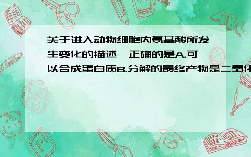 关于进入动物细胞内氨基酸所发生变化的描述,正确的是A.可以合成蛋白质B.分解的最终产物是二氧化碳和水C.直接合成性激素D.经过氨基转换作用形成尿素