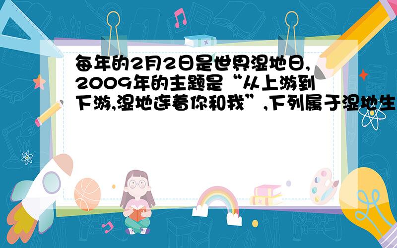 每年的2月2日是世界湿地日,2009年的主题是“从上游到下游,湿地连着你和我”,下列属于湿地生态系统的是（ ）A雪山B草原C沼泽地D海洋