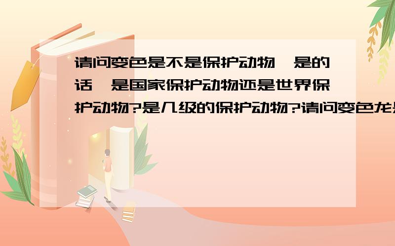 请问变色是不是保护动物,是的话,是国家保护动物还是世界保护动物?是几级的保护动物?请问变色龙是不是保护动物,是的话,是国家保护动物还是世界保护动物?是几级的保护动物?