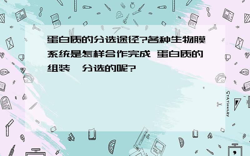 蛋白质的分选途径?各种生物膜系统是怎样合作完成 蛋白质的组装,分选的呢?