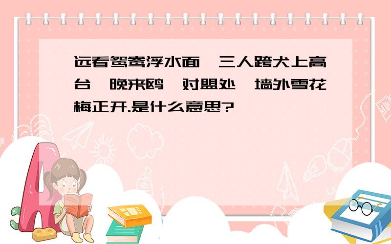 远看鸳鸯浮水面,三人跨犬上高台,晚来鸥鹭对盟处,墙外雪花梅正开.是什么意思?