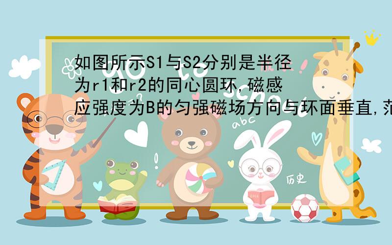 如图所示S1与S2分别是半径为r1和r2的同心圆环,磁感应强度为B的匀强磁场方向与环面垂直,范围以S1为边界,则穿过环S1的磁通量为 ,穿过环S2的磁通量为 .