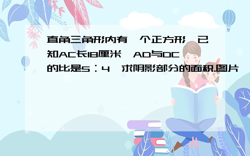 直角三角形内有一个正方形,已知AC长18厘米,AD与DC的比是5：4,求阴影部分的面积.图片