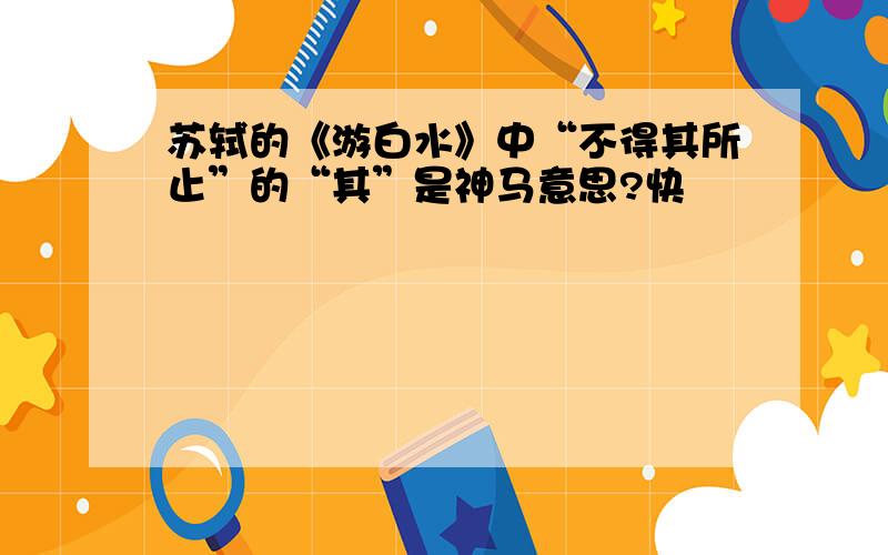 苏轼的《游白水》中“不得其所止”的“其”是神马意思?快