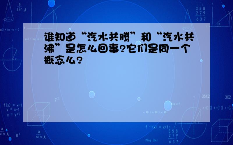 谁知道“汽水共腾”和“汽水共沸”是怎么回事?它们是同一个概念么?