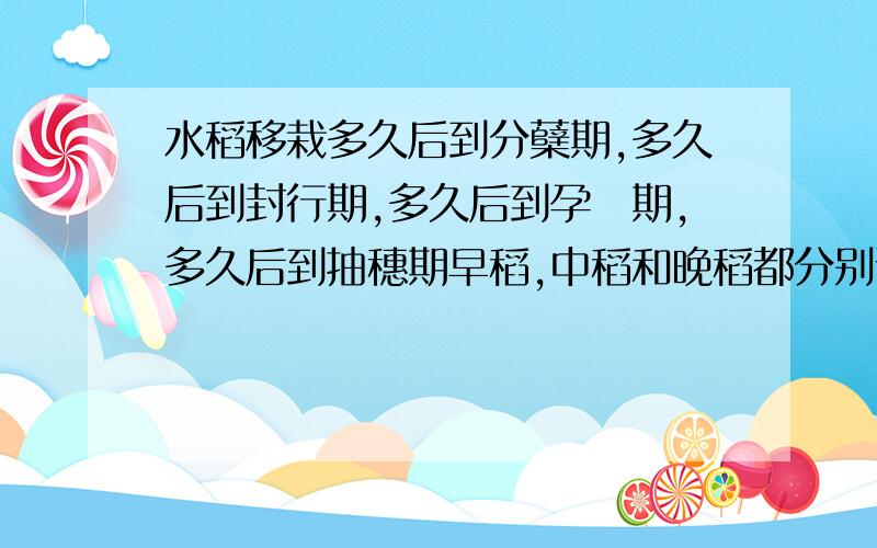 水稻移栽多久后到分蘖期,多久后到封行期,多久后到孕穂期,多久后到抽穗期早稻,中稻和晚稻都分别说一下,给个范围就好了